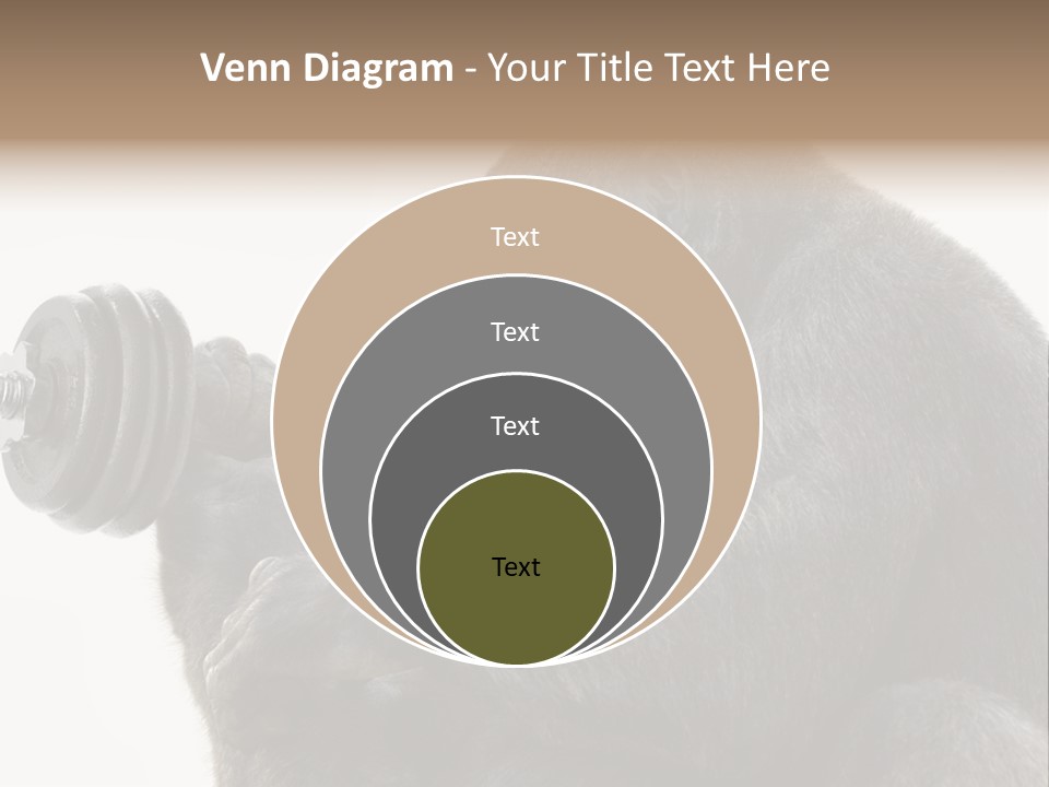 Action Barbell Species PowerPoint Template