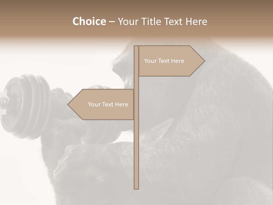 Action Barbell Species PowerPoint Template