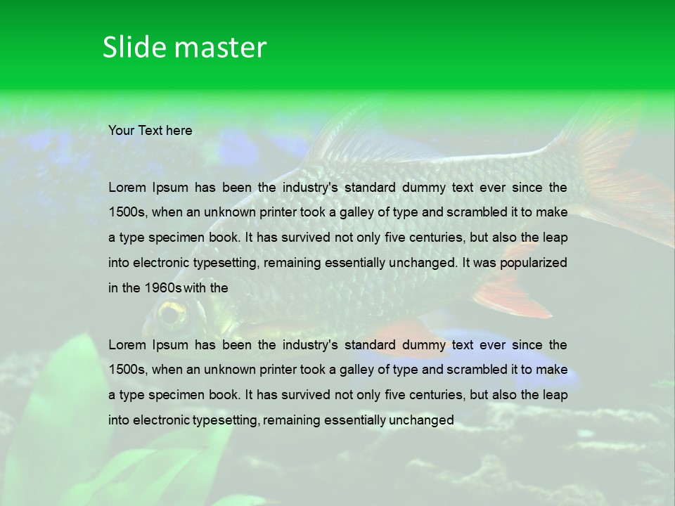 Underwater Stone Red PowerPoint Template