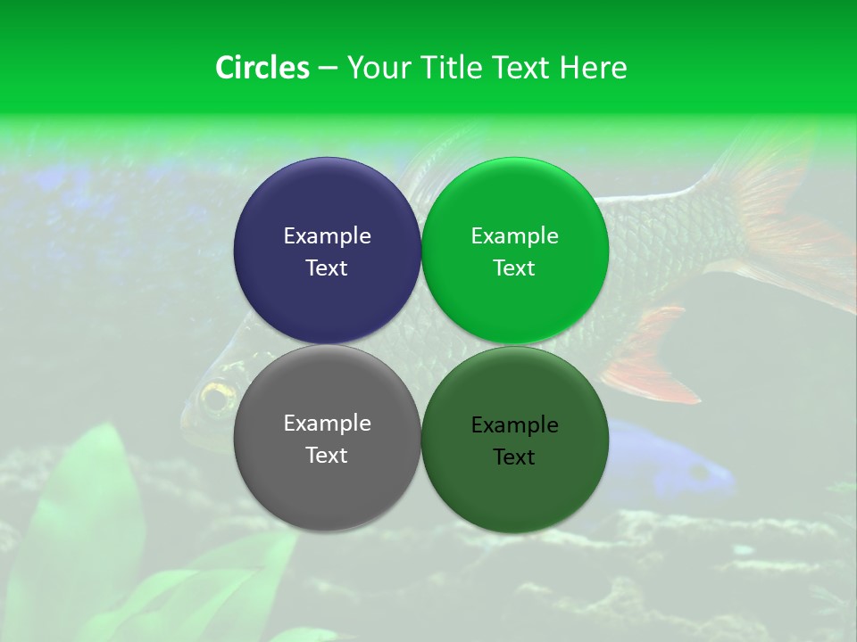 Underwater Stone Red PowerPoint Template