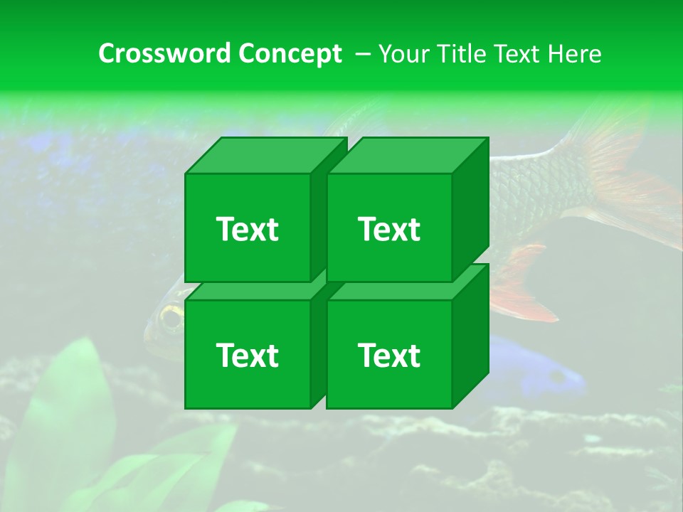 Underwater Stone Red PowerPoint Template