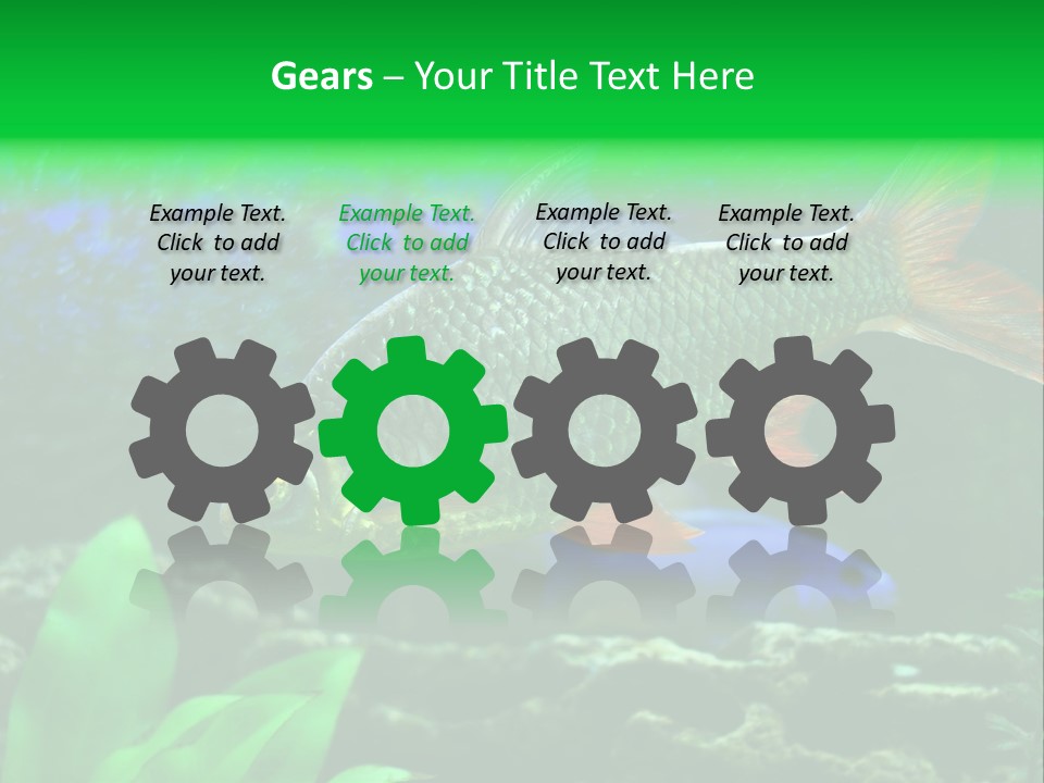 Underwater Stone Red PowerPoint Template