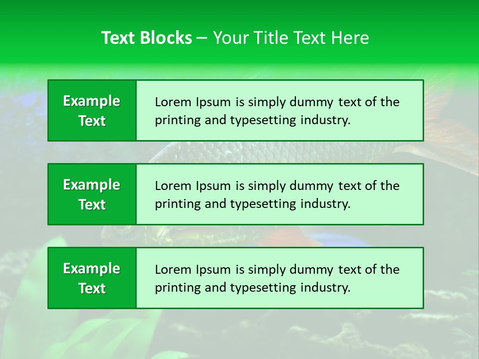 Underwater Stone Red PowerPoint Template