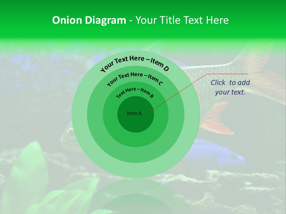 Underwater Stone Red PowerPoint Template