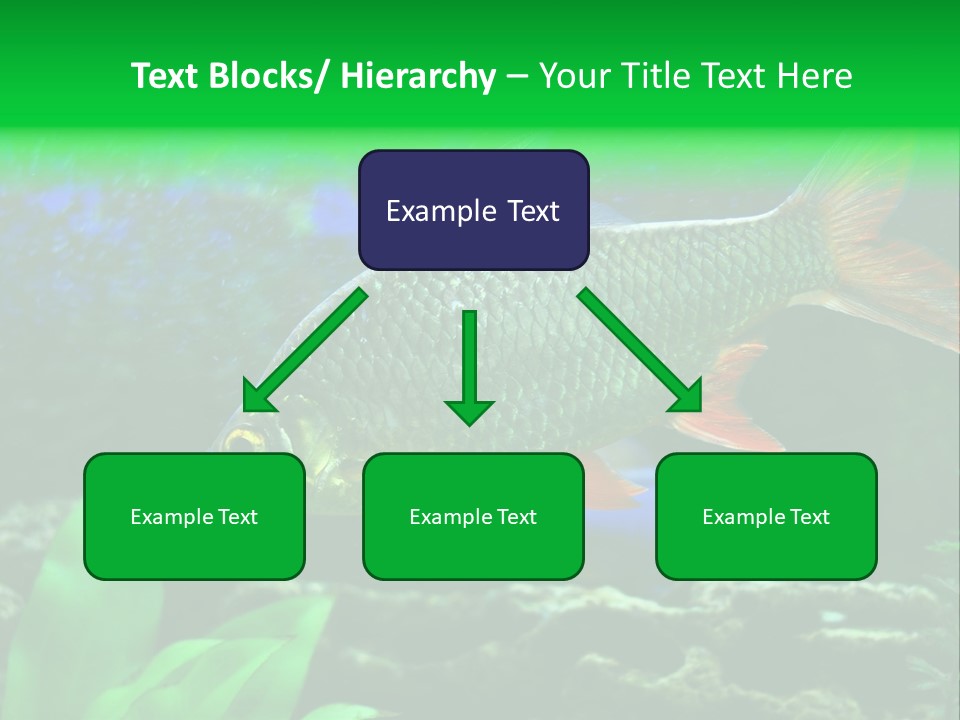 Underwater Stone Red PowerPoint Template