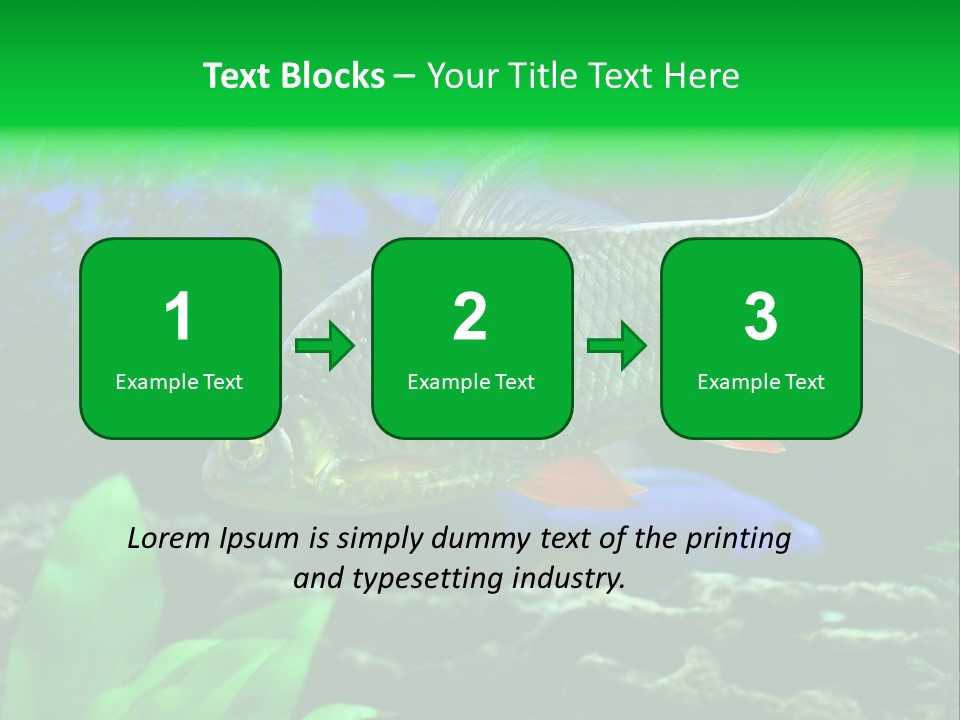 Underwater Stone Red PowerPoint Template