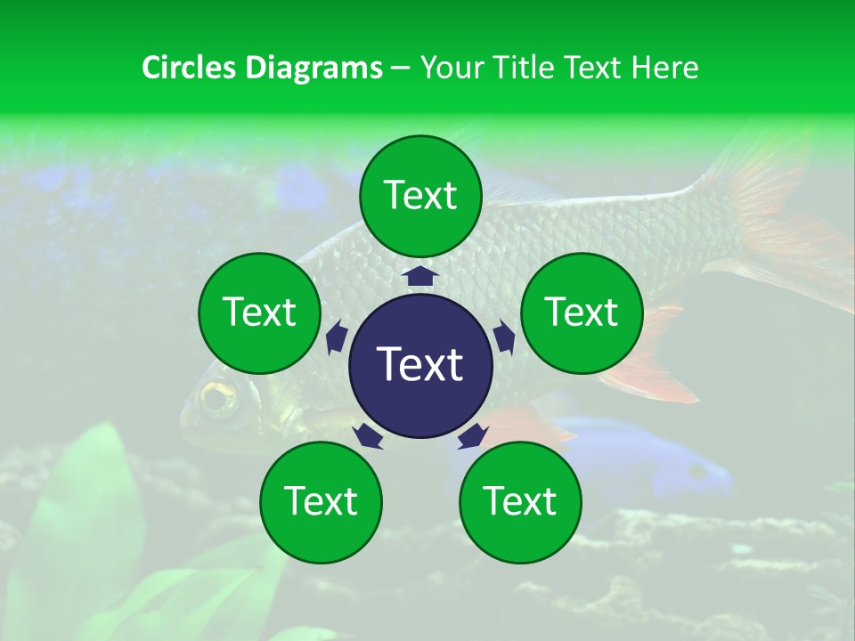 Underwater Stone Red PowerPoint Template