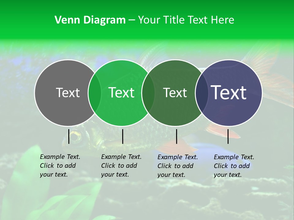 Underwater Stone Red PowerPoint Template