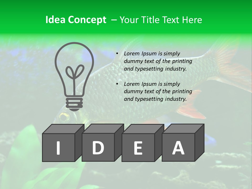 Underwater Stone Red PowerPoint Template