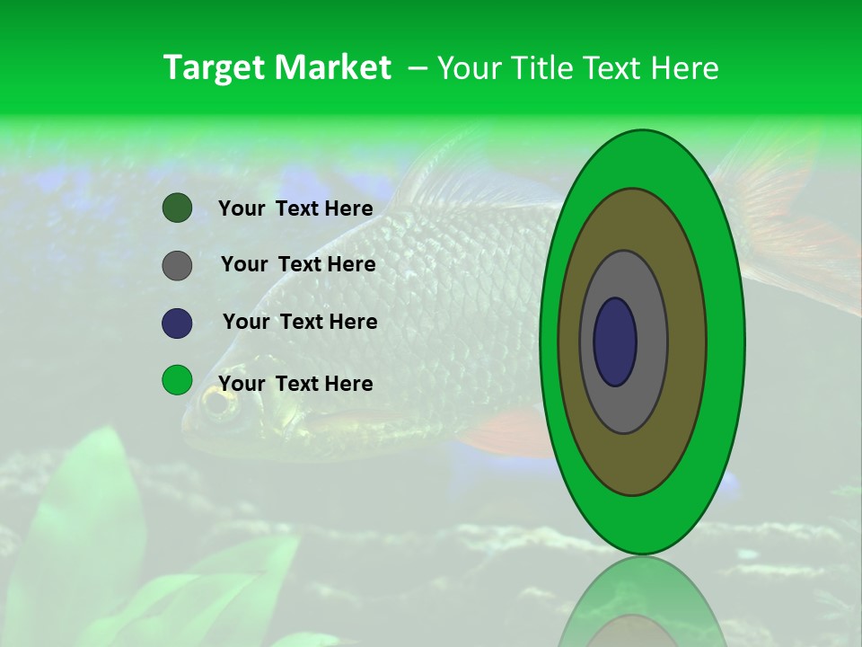 Underwater Stone Red PowerPoint Template