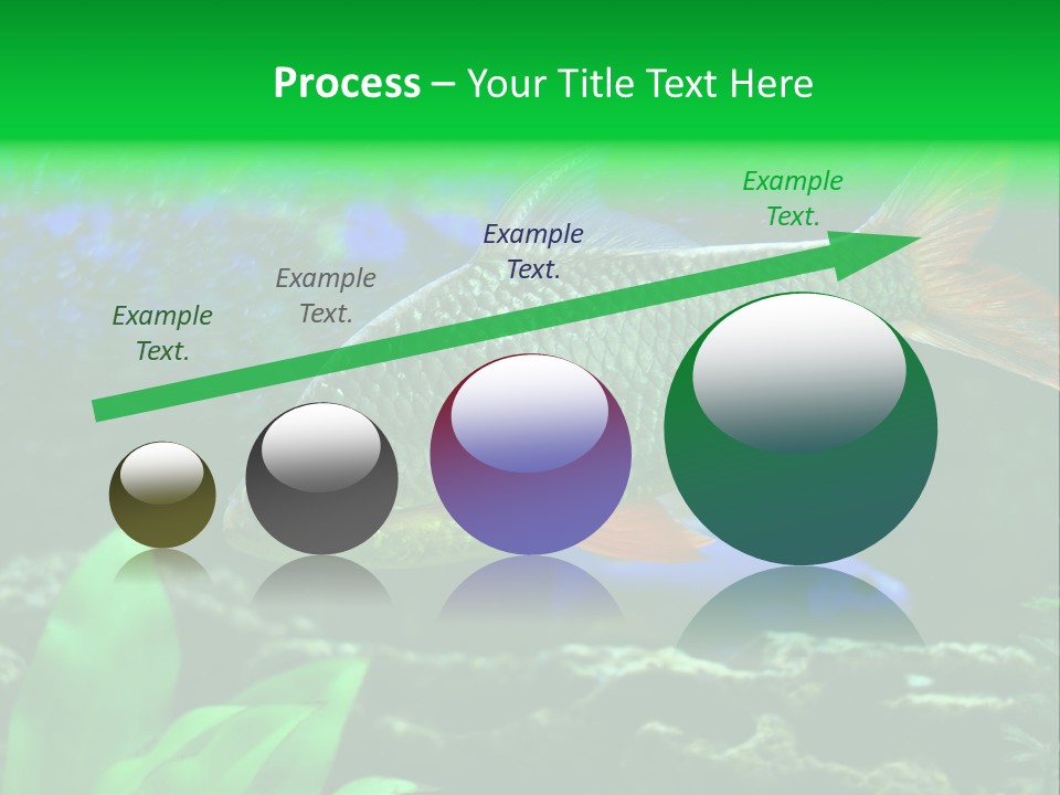 Underwater Stone Red PowerPoint Template