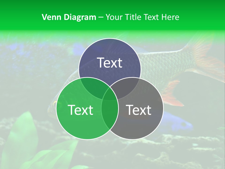 Underwater Stone Red PowerPoint Template