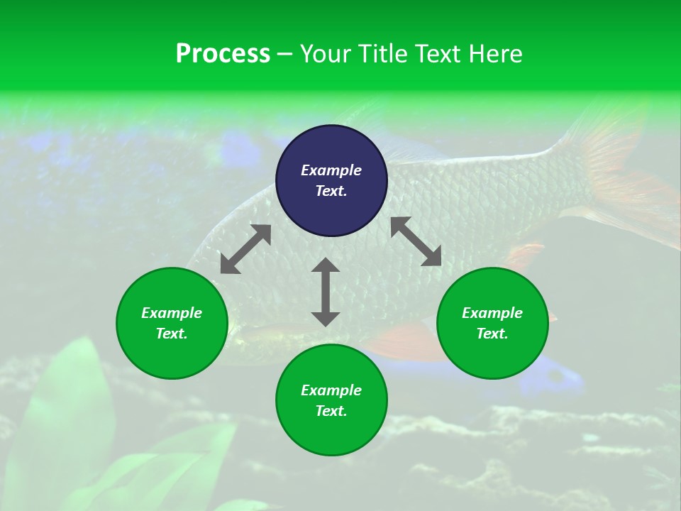 Underwater Stone Red PowerPoint Template