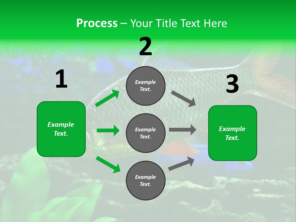 Underwater Stone Red PowerPoint Template