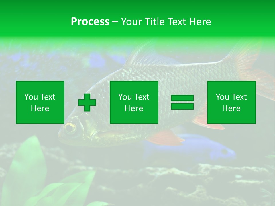 Underwater Stone Red PowerPoint Template