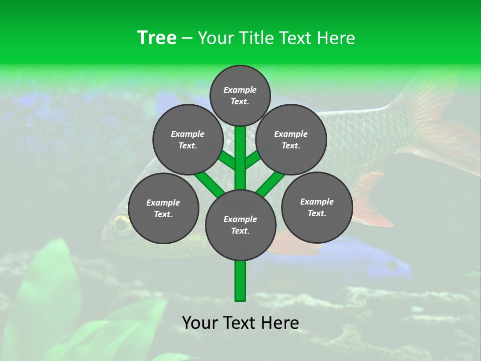 Underwater Stone Red PowerPoint Template