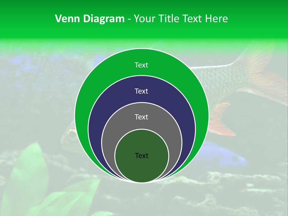 Underwater Stone Red PowerPoint Template