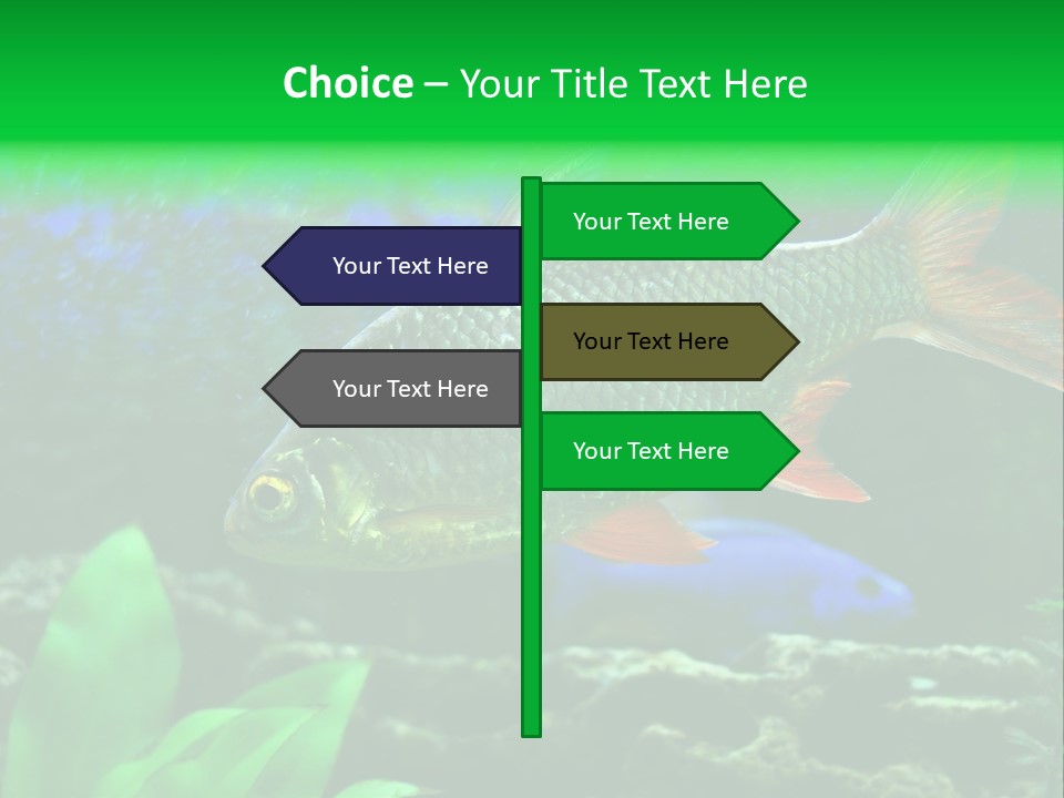 Underwater Stone Red PowerPoint Template