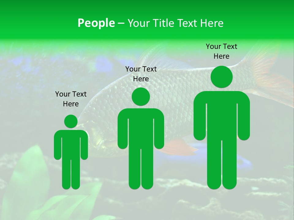 Underwater Stone Red PowerPoint Template