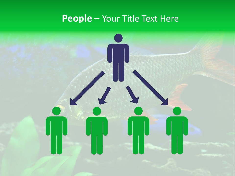 Underwater Stone Red PowerPoint Template