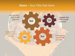 Country Home Mustard PowerPoint Template