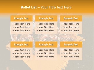 Country Home Mustard PowerPoint Template