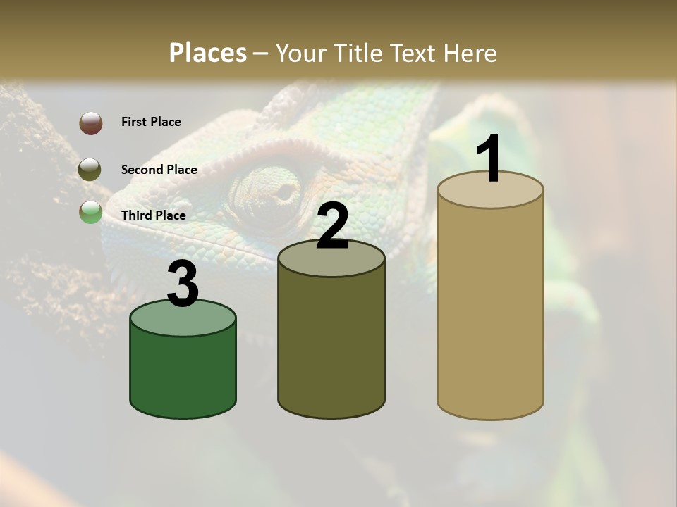 Looking Camouflage Careless PowerPoint Template