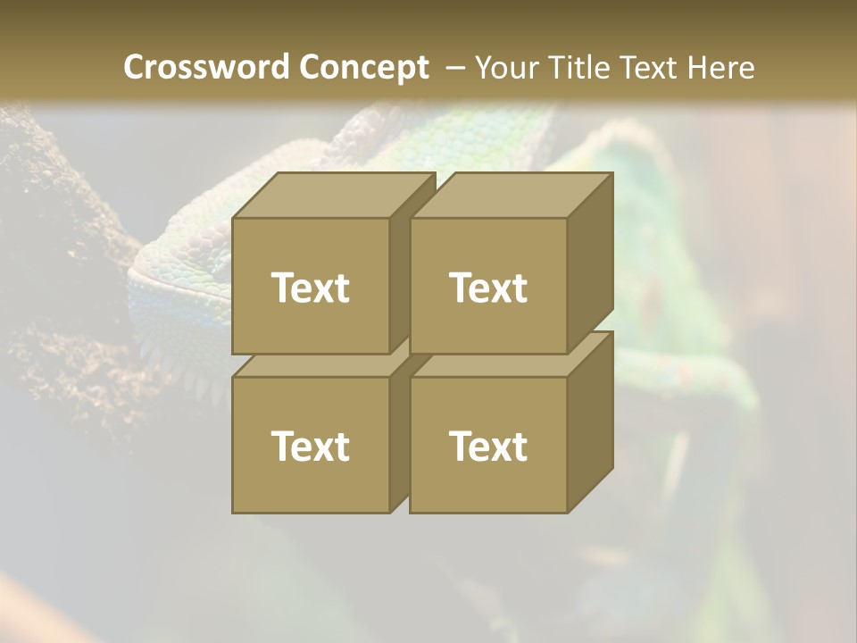 Looking Camouflage Careless PowerPoint Template