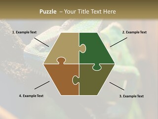 Looking Camouflage Careless PowerPoint Template