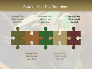 Looking Camouflage Careless PowerPoint Template