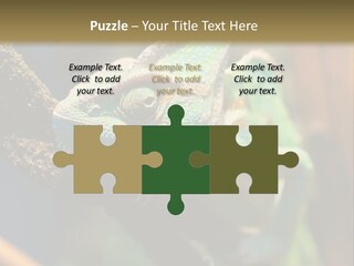 Looking Camouflage Careless PowerPoint Template