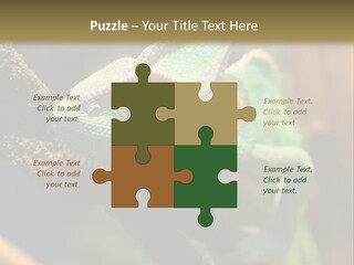 Looking Camouflage Careless PowerPoint Template