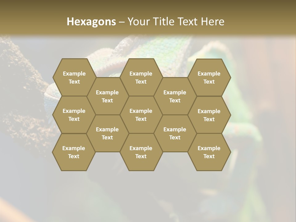 Looking Camouflage Careless PowerPoint Template