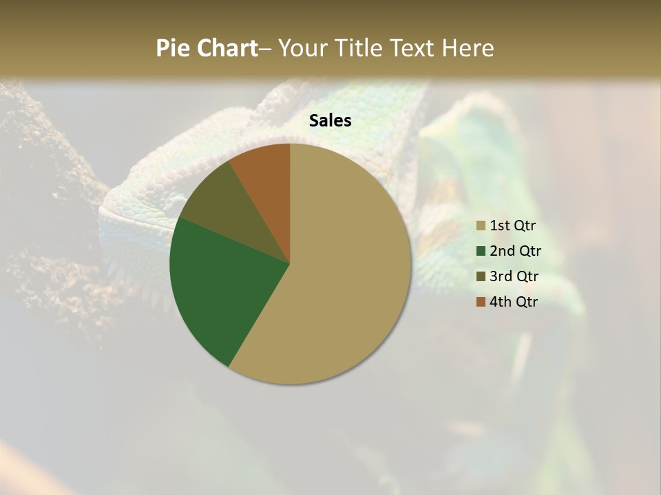 Looking Camouflage Careless PowerPoint Template