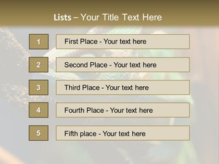 Looking Camouflage Careless PowerPoint Template