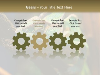 Looking Camouflage Careless PowerPoint Template