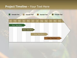 Looking Camouflage Careless PowerPoint Template