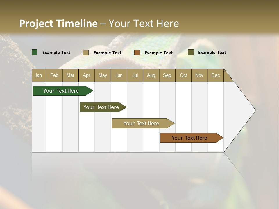 Looking Camouflage Careless PowerPoint Template