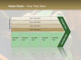 Looking Camouflage Careless PowerPoint Template