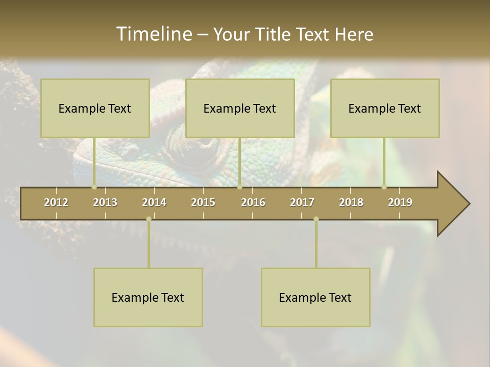 Looking Camouflage Careless PowerPoint Template