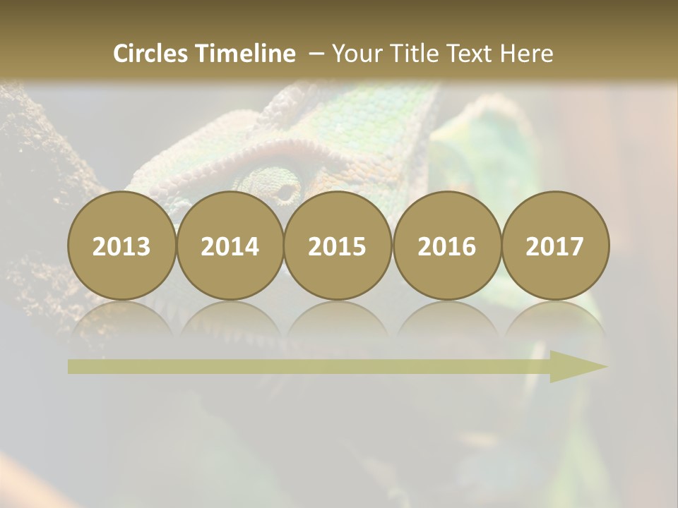 Looking Camouflage Careless PowerPoint Template