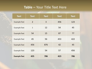 Looking Camouflage Careless PowerPoint Template