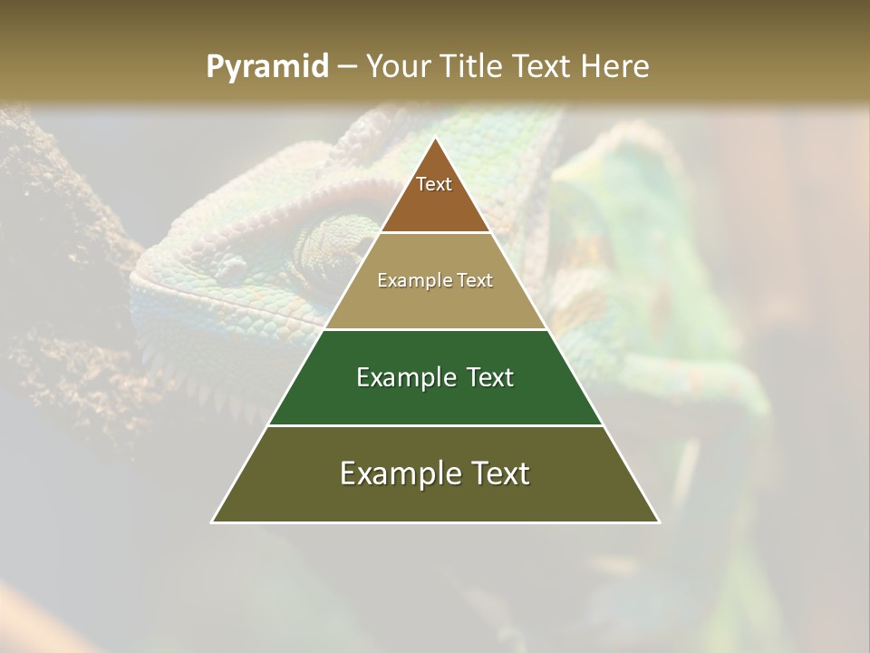 Looking Camouflage Careless PowerPoint Template