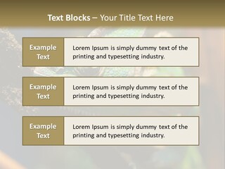 Looking Camouflage Careless PowerPoint Template