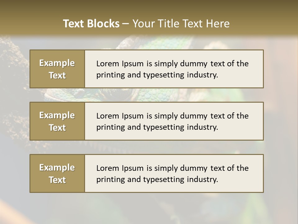 Looking Camouflage Careless PowerPoint Template