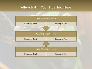 Looking Camouflage Careless PowerPoint Template