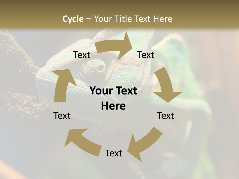 Looking Camouflage Careless PowerPoint Template