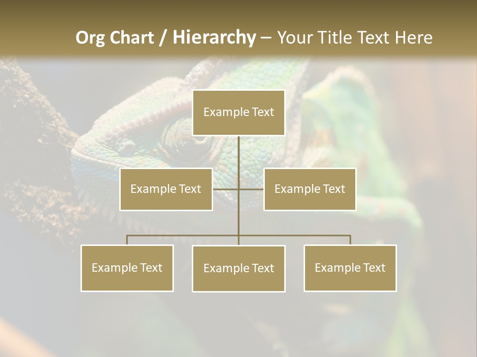 Looking Camouflage Careless PowerPoint Template