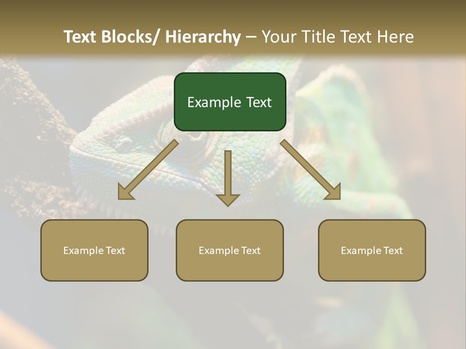 Looking Camouflage Careless PowerPoint Template