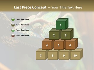 Looking Camouflage Careless PowerPoint Template